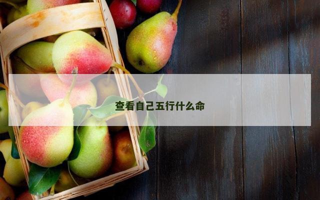 查看自己五行什么命