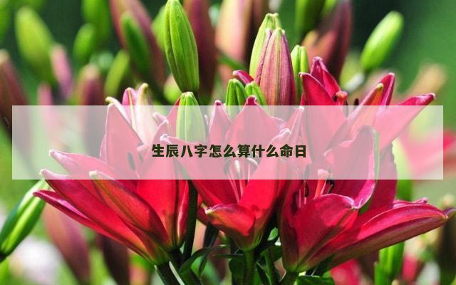 生辰八字怎么算什么命日
