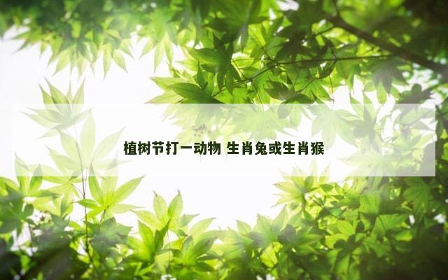 植树节打一动物 生肖兔或生肖猴
