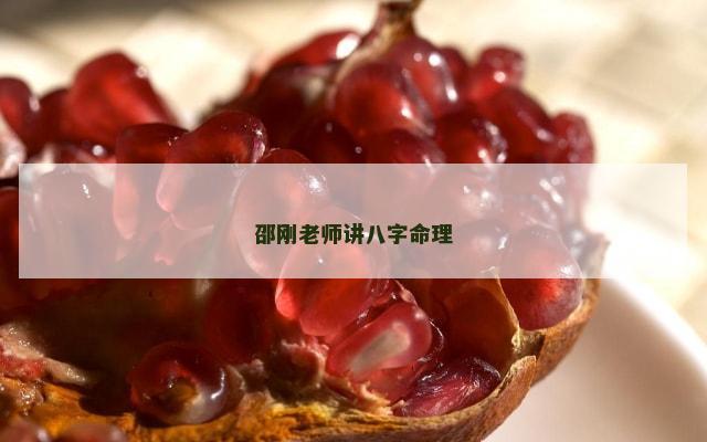 邵刚老师讲八字命理