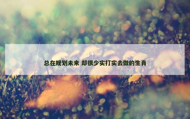 总在规划未来 却很少实打实去做的生肖