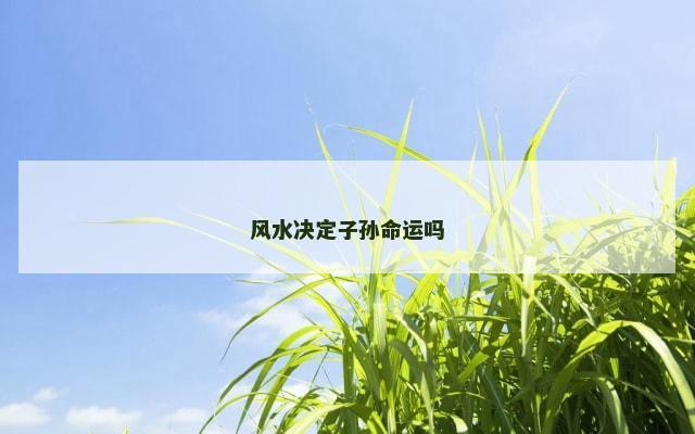 风水决定子孙命运吗