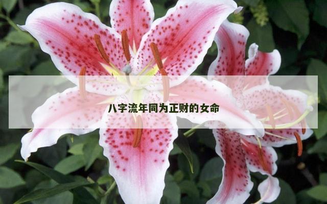 八字流年同为正财的女命
