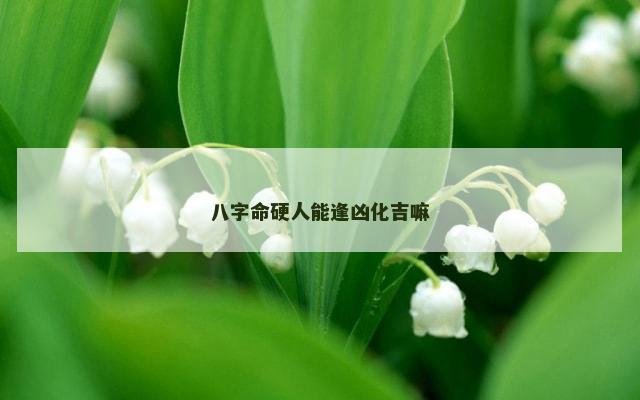 八字命硬人能逢凶化吉嘛