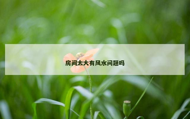 房间太大有风水问题吗