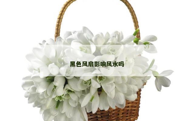 黑色风扇影响风水吗