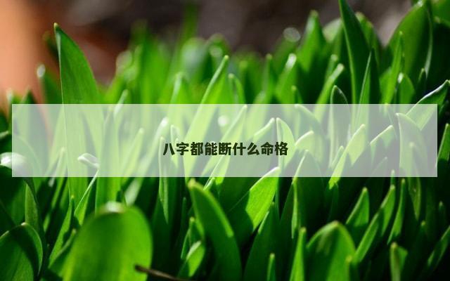 八字都能断什么命格