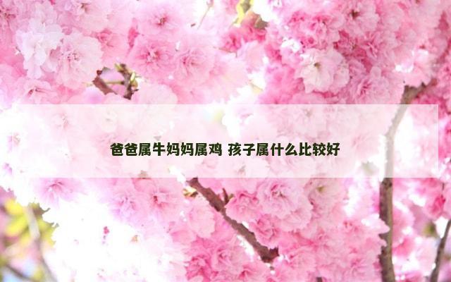 爸爸属牛妈妈属鸡 孩子属什么比较好