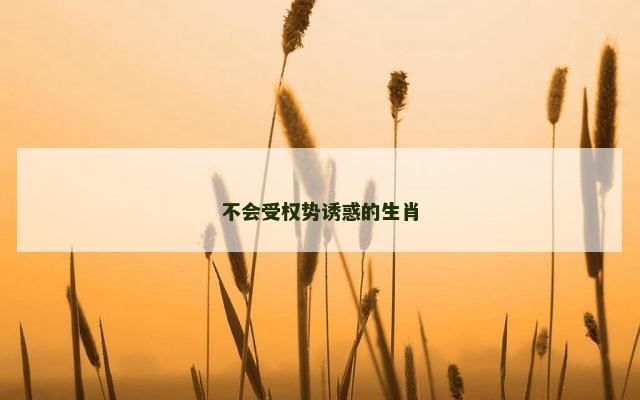 不会受权势诱惑的生肖