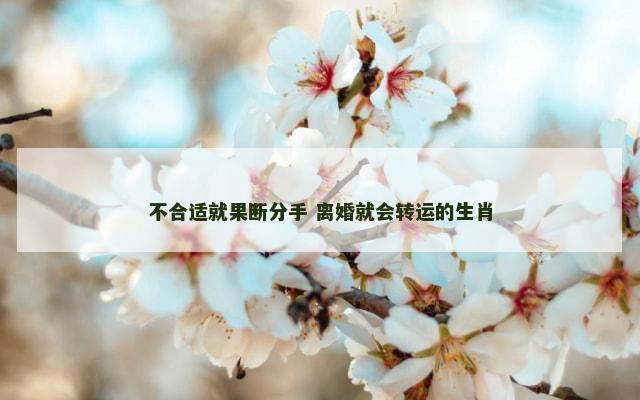 不合适就果断分手 离婚就会转运的生肖