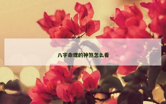 八字命理的神煞怎么看
