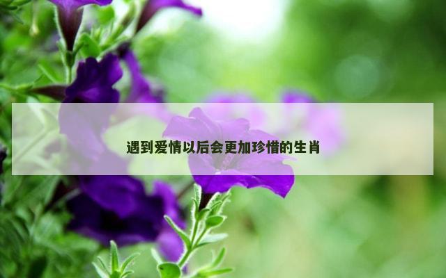遇到爱情以后会更加珍惜的生肖