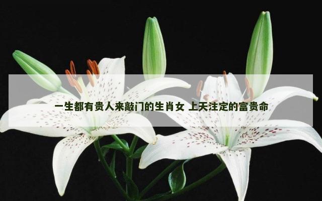 一生都有贵人来敲门的生肖女 上天注定的富贵命