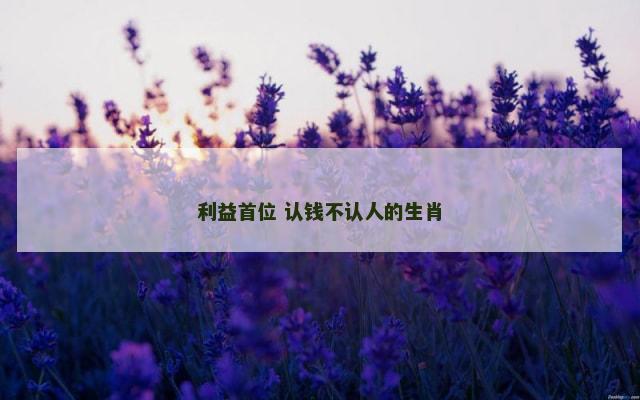 利益首位 认钱不认人的生肖