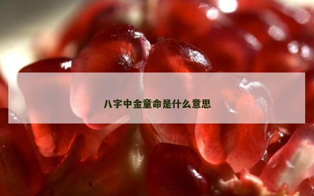 八字中金童命是什么意思