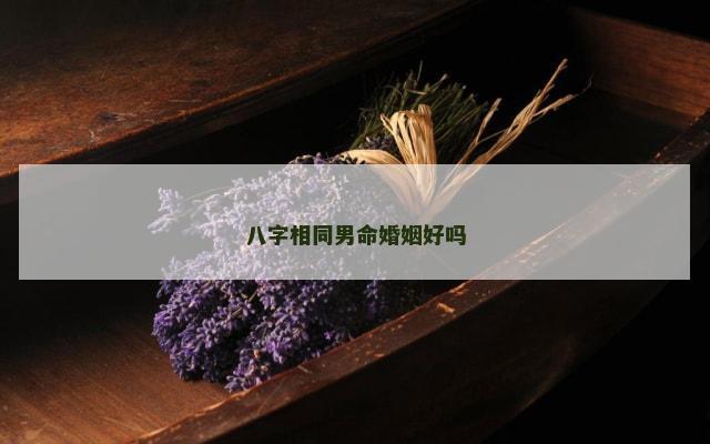 八字相同男命婚姻好吗
