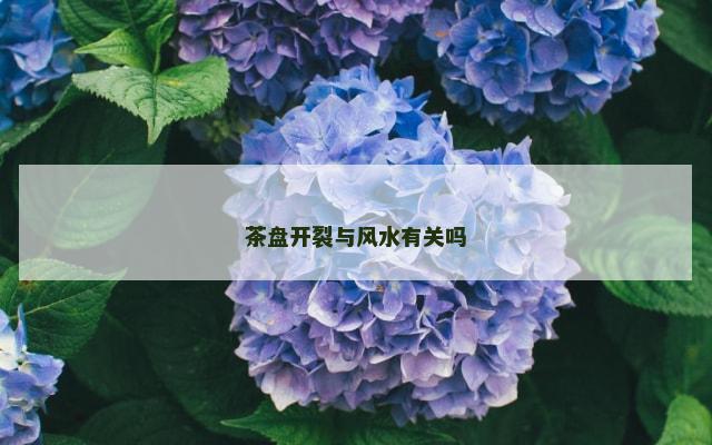 茶盘开裂与风水有关吗