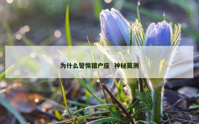 为什么警惕猎户座  神秘莫测