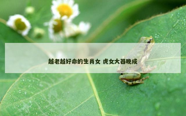越老越好命的生肖女 虎女大器晚成