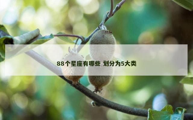 88个星座有哪些 划分为5大类