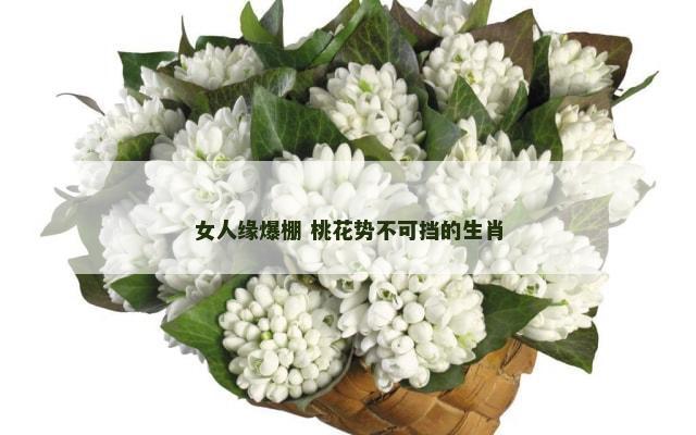 女人缘爆棚 桃花势不可挡的生肖