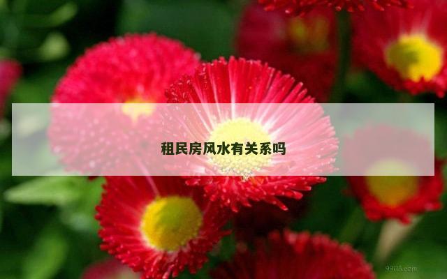 租民房风水有关系吗