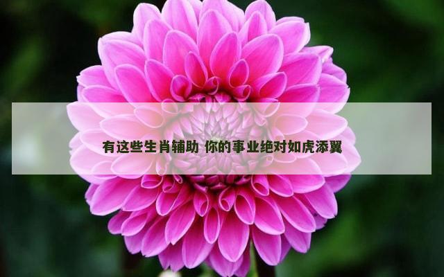 有这些生肖辅助 你的事业绝对如虎添翼