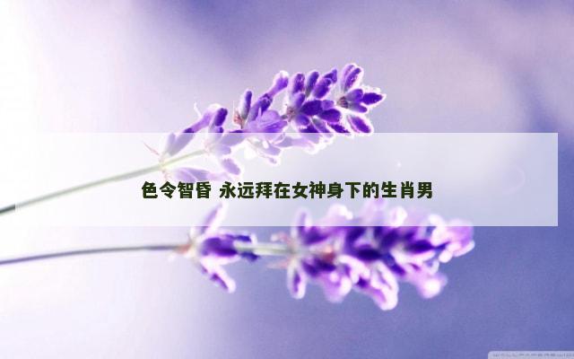 色令智昏 永远拜在女神身下的生肖男