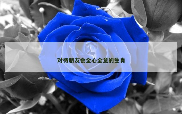 对待朋友会全心全意的生肖