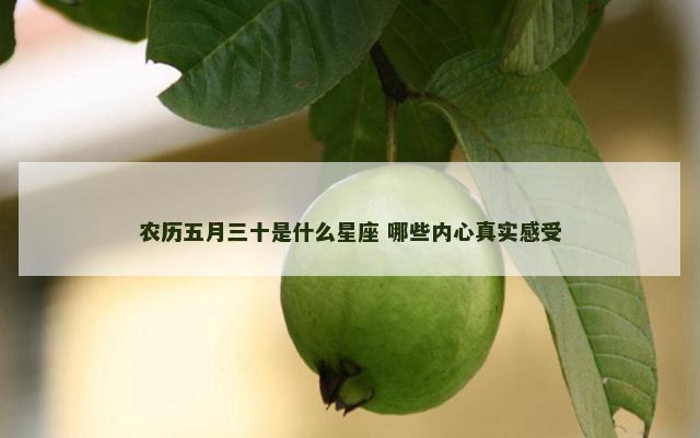 农历五月三十是什么星座 哪些内心真实感受