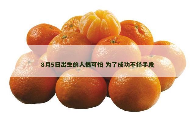 8月5日出生的人很可怕 为了成功不择手段