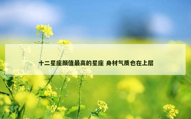 十二星座颜值最高的星座 身材气质也在上层