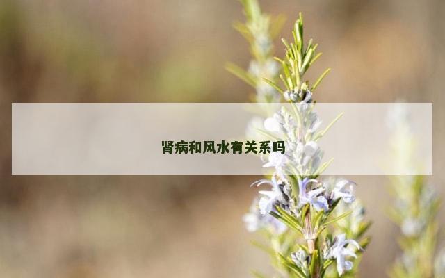 肾病和风水有关系吗