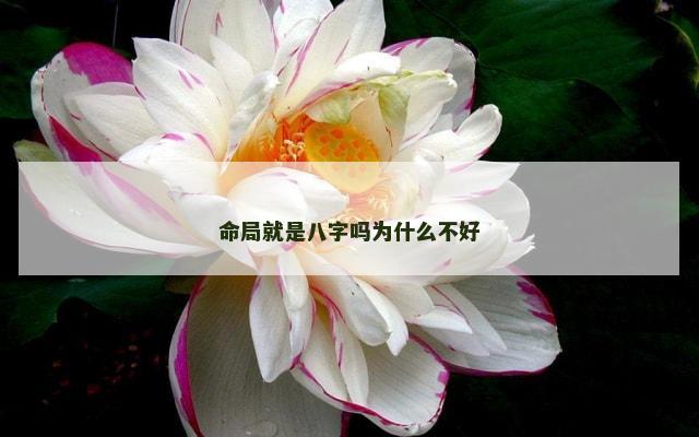 命局就是八字吗为什么不好