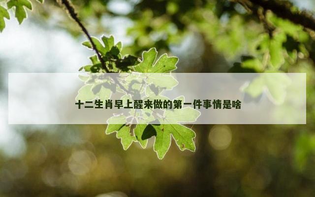 十二生肖早上醒来做的第一件事情是啥