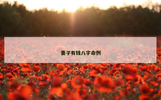 妻子有钱八字命例