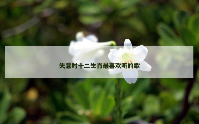 失意时十二生肖最喜欢听的歌