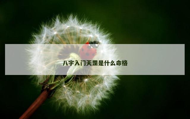 八字入门天罡是什么命格