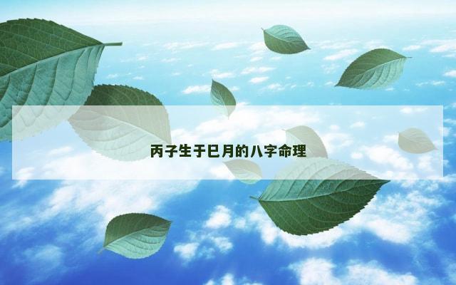 丙子生于巳月的八字命理