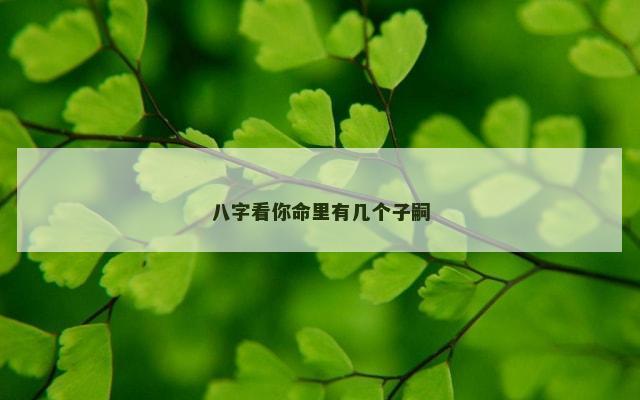 八字看你命里有几个子嗣