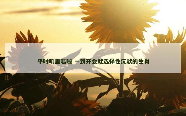 平时叽里呱啦 一到开会就选择性沉默的生肖
