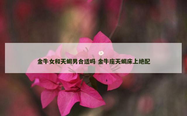 金牛女和天蝎男合适吗 金牛座天蝎床上绝配