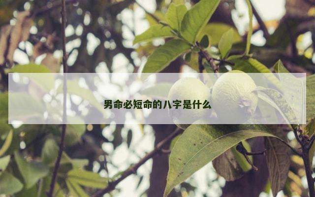 男命必短命的八字是什么