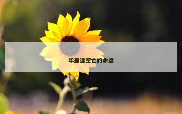 华盖逢空亡的命运
