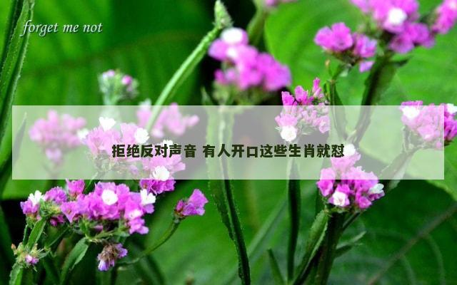 拒绝反对声音 有人开口这些生肖就怼