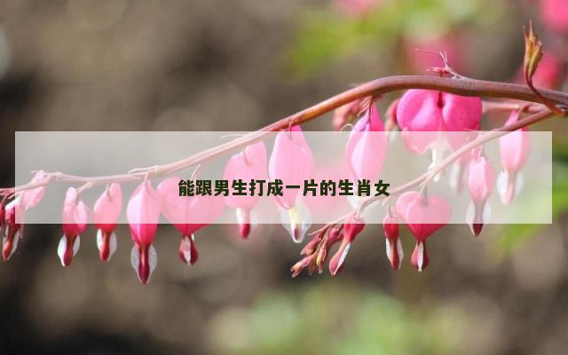 能跟男生打成一片的生肖女