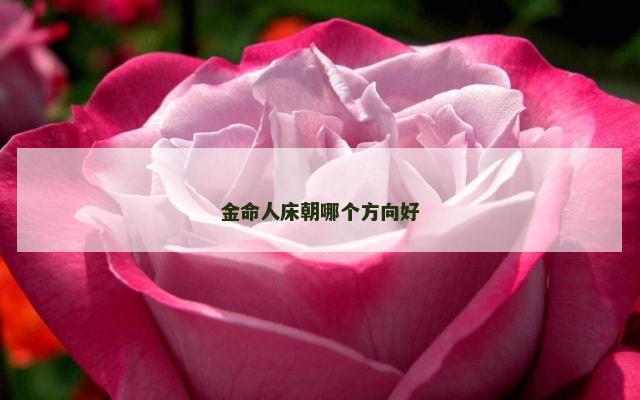 金命人床朝哪个方向好