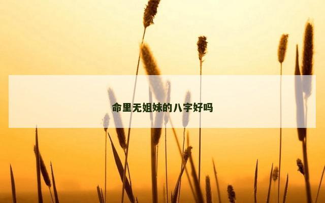 命里无姐妹的八字好吗