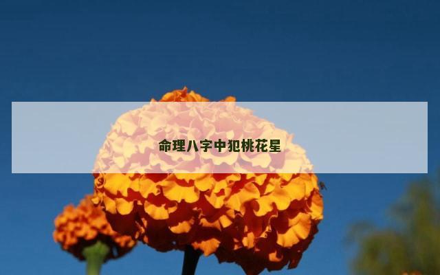 命理八字中犯桃花星