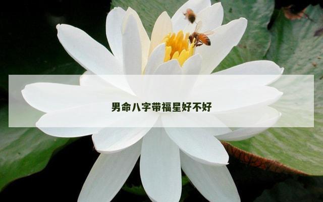 男命八字带福星好不好